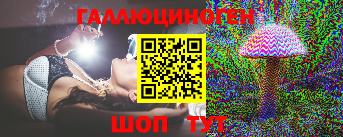 Псилоцибиновые грибы Cubensis  Вход с VPN  Гусиноозёрск 