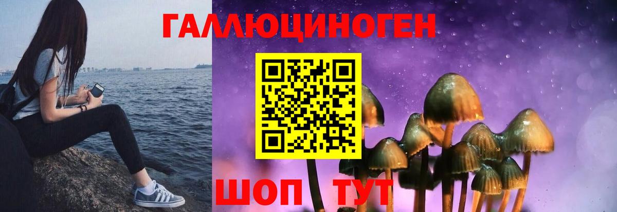 Псилоцибиновые грибы ЛСД Гусиноозёрск