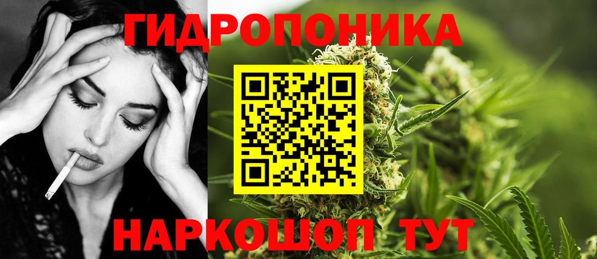 Бошки Шишки сатива  Канабис Bruce Banner  Марихуана план  Гусиноозёрск  Вход с VPN 
